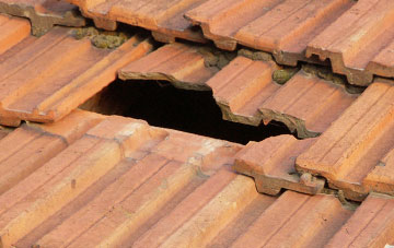 roof repair Nantserth, Powys