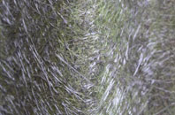 Nantserth fibreglass roof work